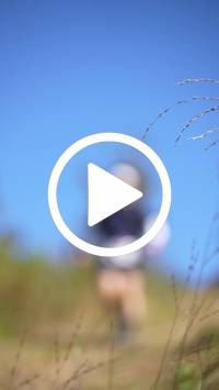 BIB:  <button type="button" onclick="openModal(26604372)" class="btn btn-primary btn-sm float-right" data-toggle="modal" data-target=".modal-high-quality">
                <i class="fa fa-download"></i> Download
                </button>